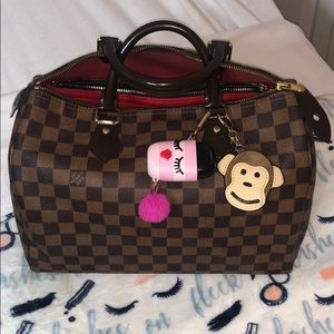 Louis Vuitton Damier Ebene Speedy 30